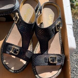 Alegria Iridescent Black Sandals with Gold Buckles